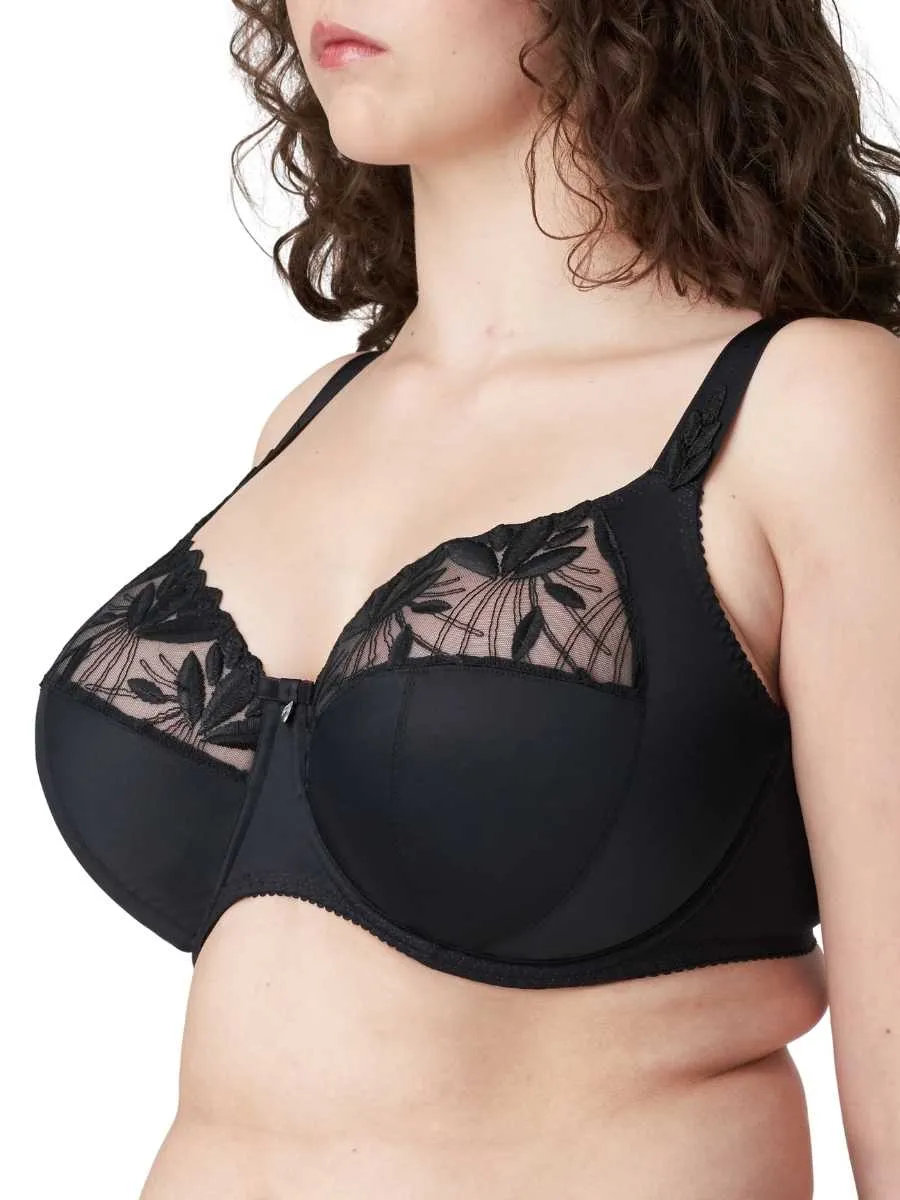 Orlando Fuller Cup Bra - Charcoal